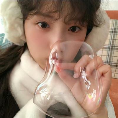 花水木海报